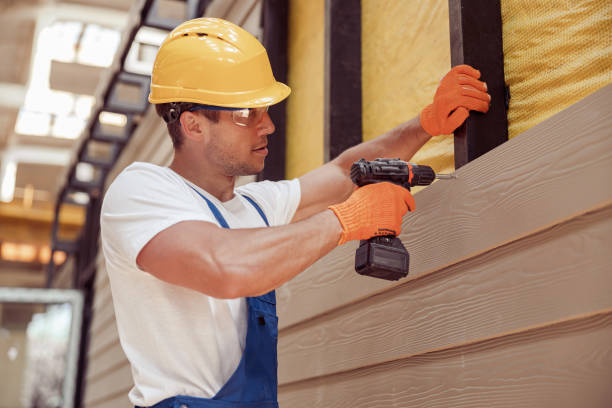 Best Custom Trim and Detailing for Siding  in Eaton, OH